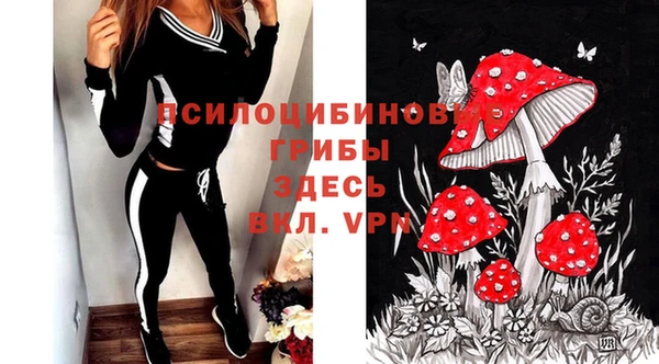 шишки Яровое